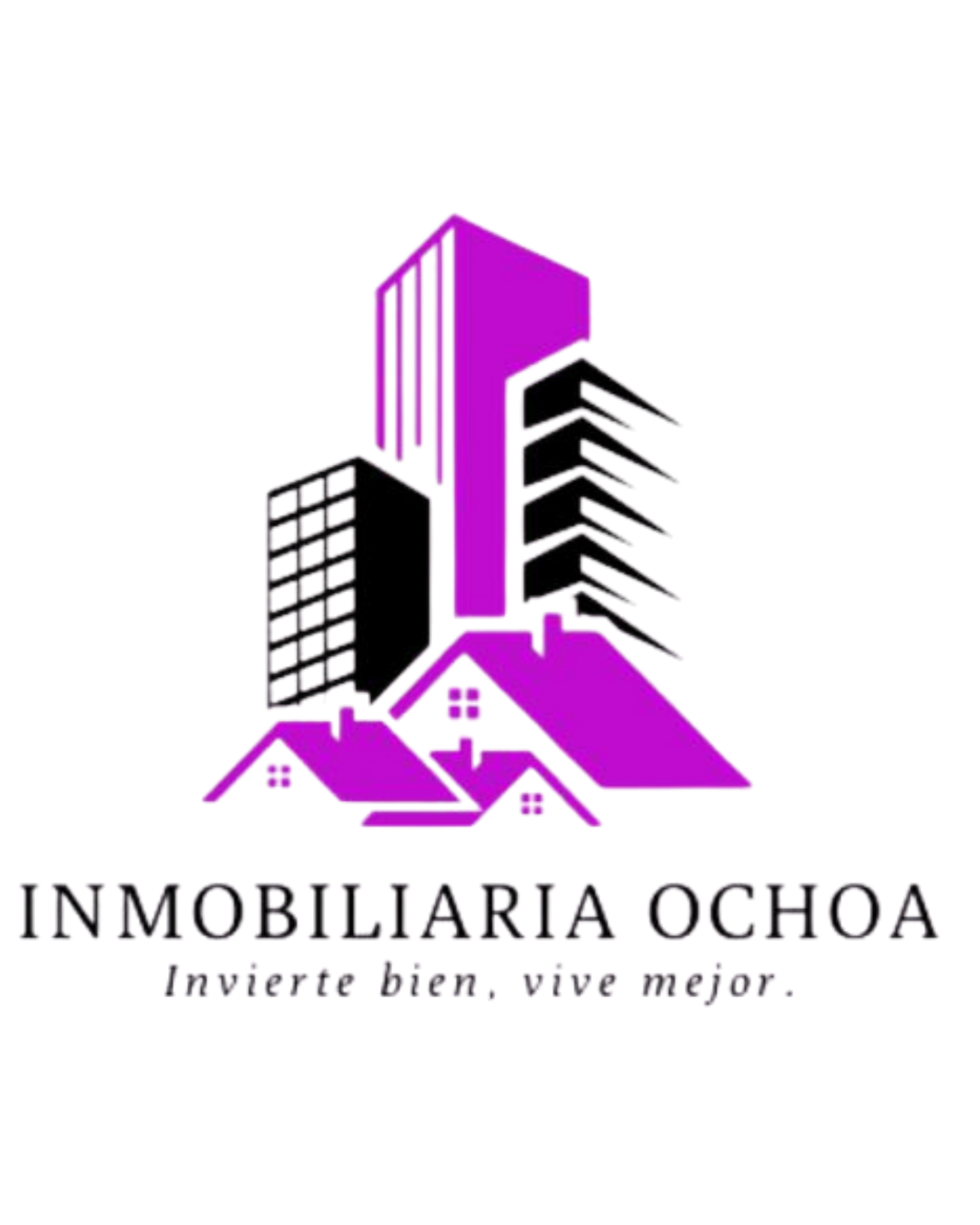 Inmobiliaria Ochoa